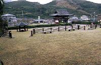 芝生